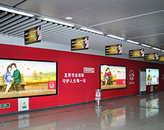 LED广告灯箱绿色低碳生活